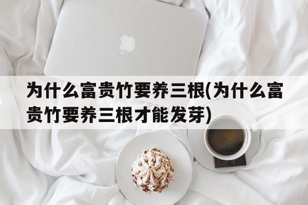 为什么富贵竹要养三根(为什么富贵竹要养三根才能发芽)