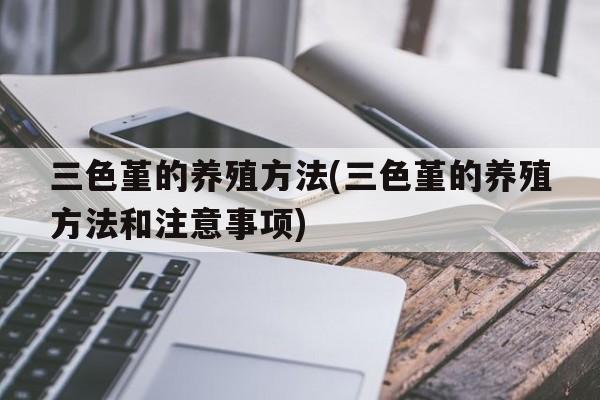 三色堇的养殖方法(三色堇的养殖方法和注意事项)