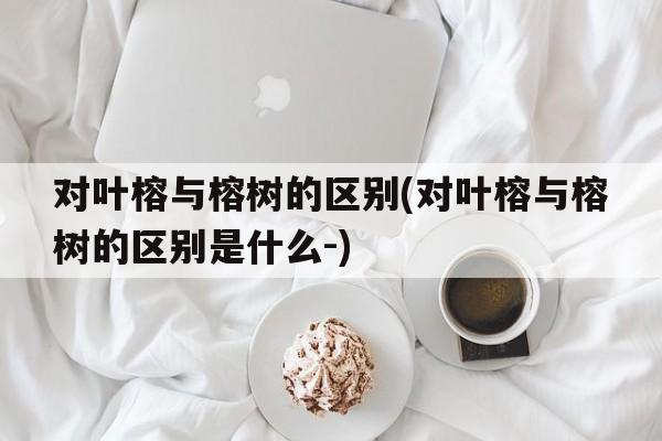 对叶榕与榕树的区别(对叶榕与榕树的区别是什么-)