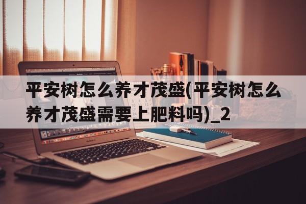 平安树怎么养才茂盛(平安树怎么养才茂盛需要上肥料吗)_2