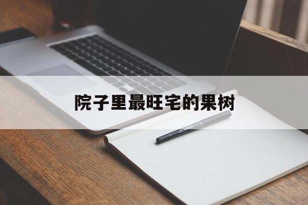 院子里最旺宅的果树