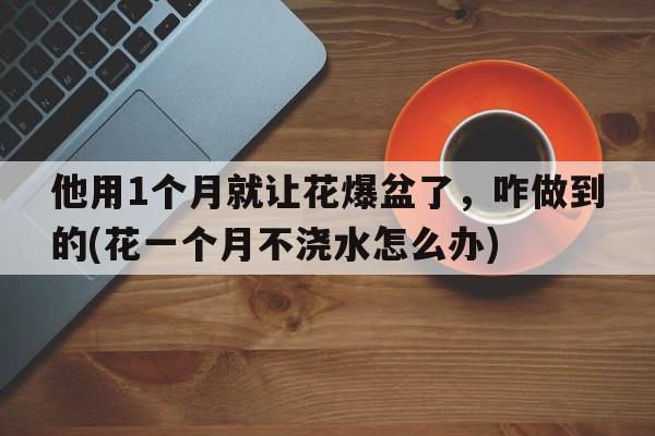 他用1个月就让花爆盆了，咋做到的(花一个月不浇水怎么办)