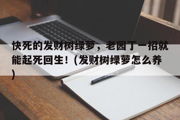 快死的发财树绿萝，老园丁一招就能起死回生！(发财树绿萝怎么养)