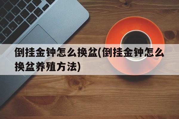 倒挂金钟怎么换盆(倒挂金钟怎么换盆养殖方法)