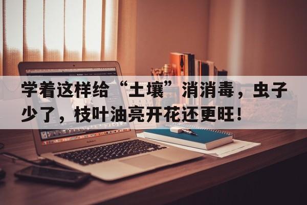 学着这样给“土壤”消消毒，虫子少了，枝叶油亮开花还更旺！