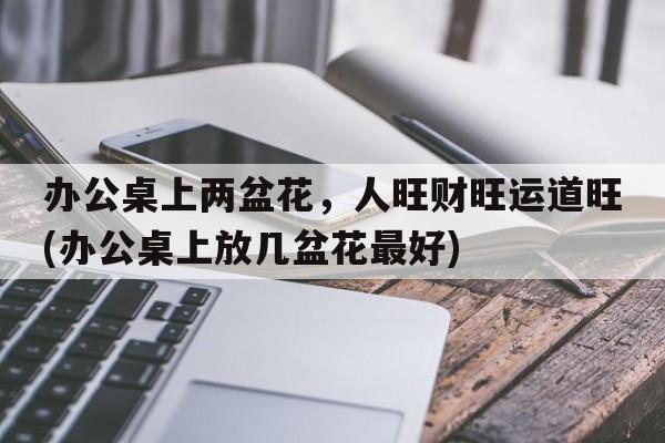 办公桌上两盆花，人旺财旺运道旺(办公桌上放几盆花最好)