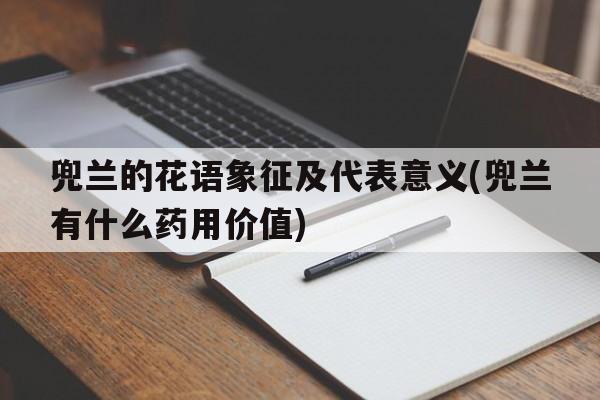 兜兰的花语象征及代表意义(兜兰有什么药用价值)