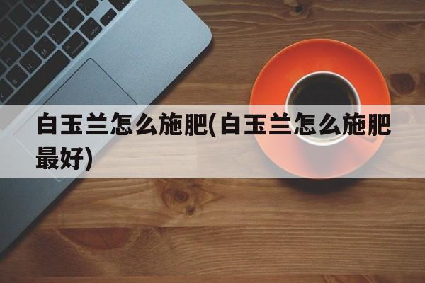 白玉兰怎么施肥(白玉兰怎么施肥最好)