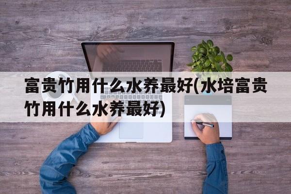 富贵竹用什么水养最好(水培富贵竹用什么水养最好)