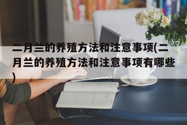 二月兰的养殖方法和注意事项(二月兰的养殖方法和注意事项有哪些)