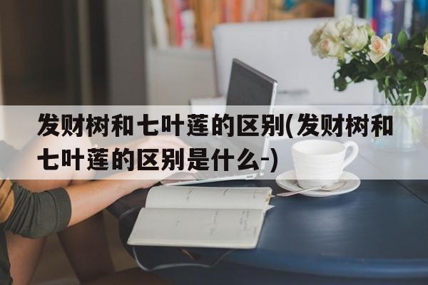 发财树和七叶莲的区别(发财树和七叶莲的区别是什么-)