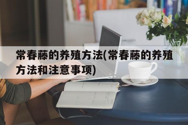 常春藤的养殖方法(常春藤的养殖方法和注意事项)