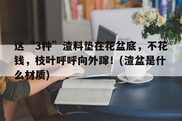 这“3种”渣料垫在花盆底，不花钱，枝叶呼呼向外蹿！(渣盆是什么材质)