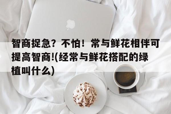 智商捉急？不怕！常与鲜花相伴可提高智商!(经常与鲜花搭配的绿植叫什么)