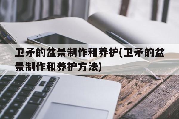 卫矛的盆景制作和养护(卫矛的盆景制作和养护方法)