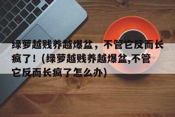 绿萝越贱养越爆盆，不管它反而长疯了！(绿萝越贱养越爆盆,不管它反而长疯了怎么办)