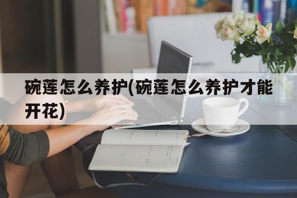 碗莲怎么养护(碗莲怎么养护才能开花)