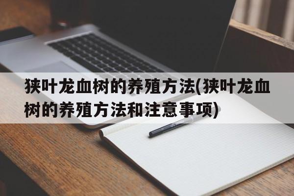 狭叶龙血树的养殖方法(狭叶龙血树的养殖方法和注意事项)