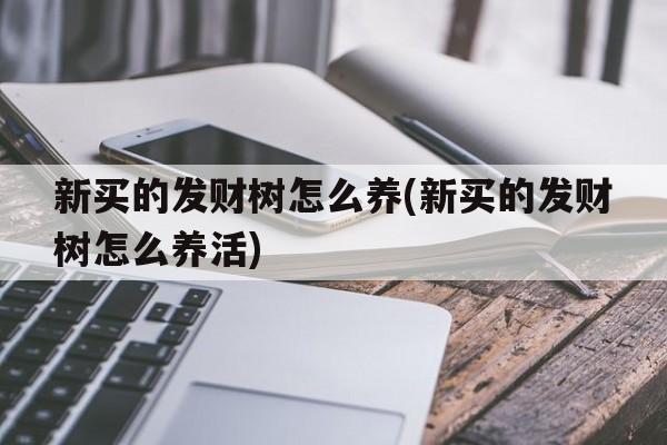 新买的发财树怎么养(新买的发财树怎么养活)