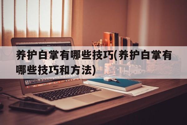 养护白掌有哪些技巧(养护白掌有哪些技巧和方法)