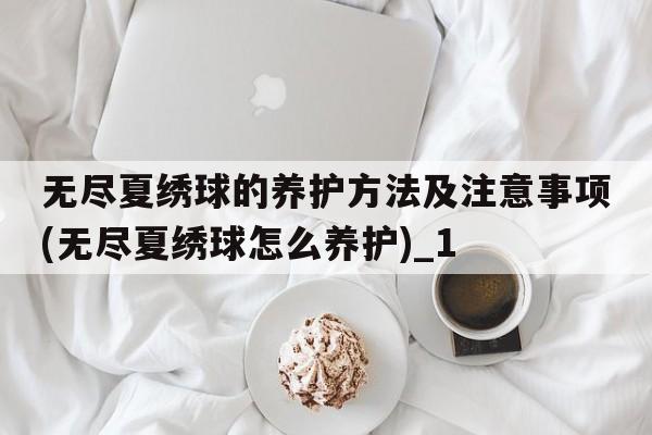 无尽夏绣球的养护方法及注意事项(无尽夏绣球怎么养护)_1