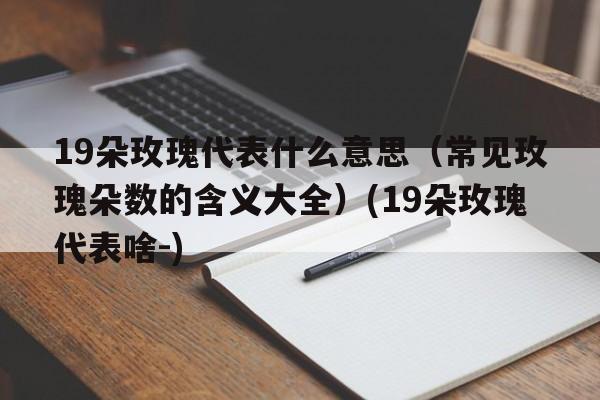 19朵玫瑰代表什么意思（常见玫瑰朵数的含义大全）(19朵玫瑰代表啥-)