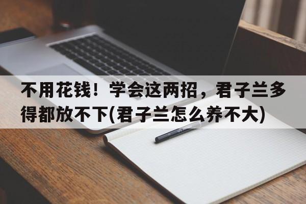 不用花钱！学会这两招，君子兰多得都放不下(君子兰怎么养不大)