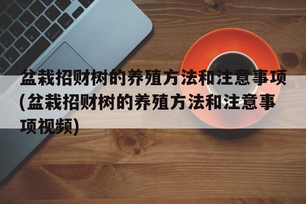 盆栽招财树的养殖方法和注意事项(盆栽招财树的养殖方法和注意事项视频)