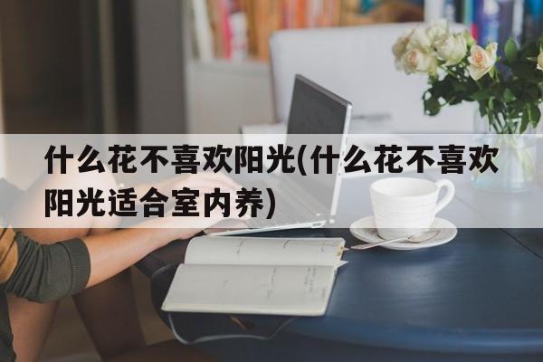 什么花不喜欢阳光(什么花不喜欢阳光适合室内养)