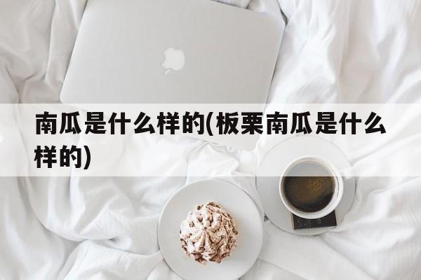 南瓜是什么样的(板栗南瓜是什么样的)