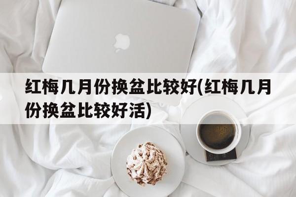 红梅几月份换盆比较好(红梅几月份换盆比较好活)