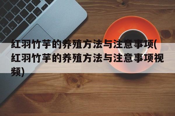 红羽竹芋的养殖方法与注意事项(红羽竹芋的养殖方法与注意事项视频)