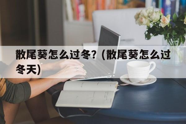 散尾葵怎么过冬？(散尾葵怎么过冬天)