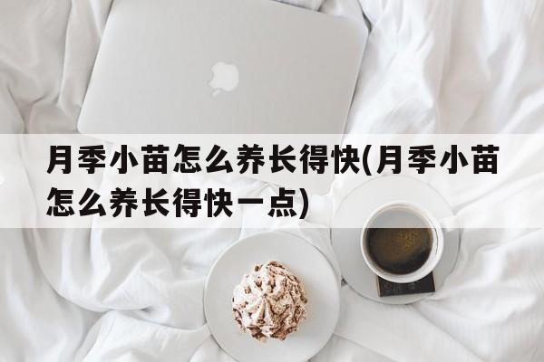 月季小苗怎么养长得快(月季小苗怎么养长得快一点)