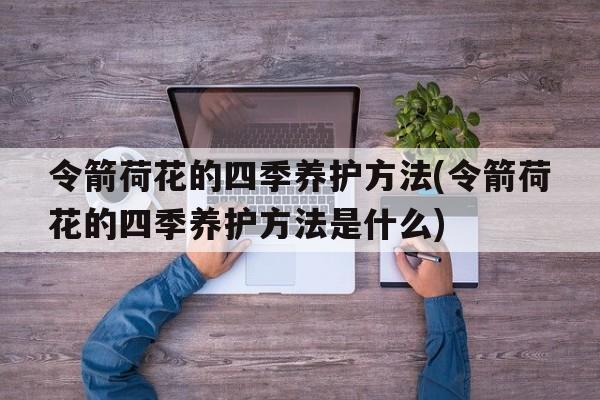 令箭荷花的四季养护方法(令箭荷花的四季养护方法是什么)