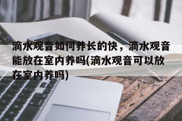 滴水观音如何养长的快，滴水观音能放在室内养吗(滴水观音可以放在室内养吗)