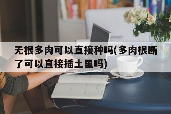 无根多肉可以直接种吗(多肉根断了可以直接插土里吗)