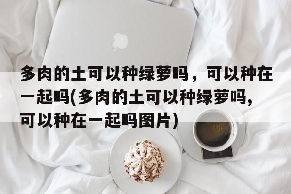 多肉的土可以种绿萝吗，可以种在一起吗(多肉的土可以种绿萝吗,可以种在一起吗图片)