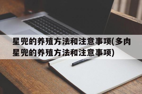 星兜的养殖方法和注意事项(多肉星兜的养殖方法和注意事项)