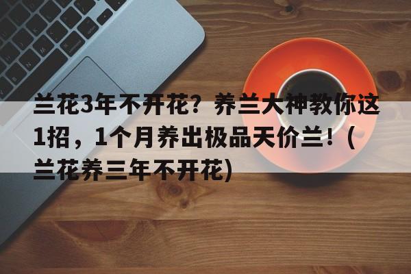 兰花3年不开花？养兰大神教你这1招，1个月养出极品天价兰！(兰花养三年不开花)