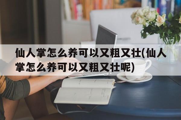 仙人掌怎么养可以又粗又壮(仙人掌怎么养可以又粗又壮呢)