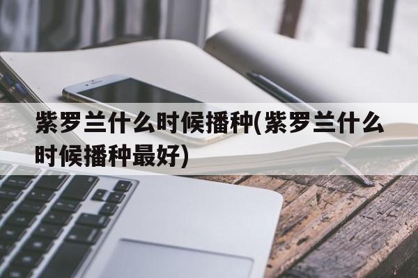 紫罗兰什么时候播种(紫罗兰什么时候播种最好)