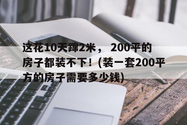 这花10天蹿2米， 200平的房子都装不下！(装一套200平方的房子需要多少钱)