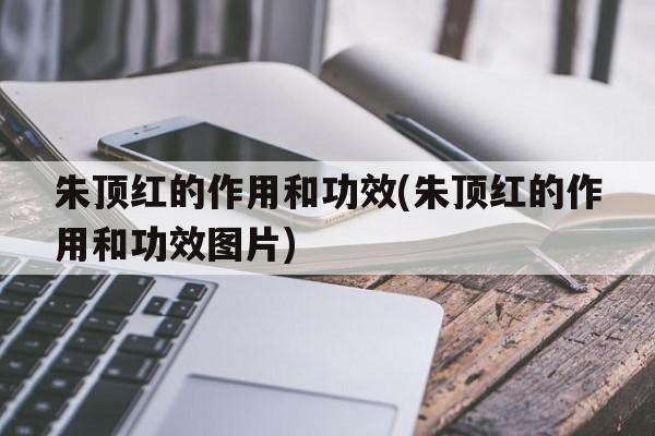 朱顶红的作用和功效(朱顶红的作用和功效图片)