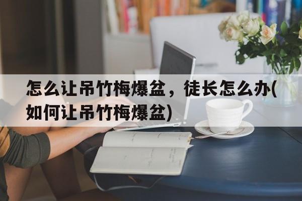 怎么让吊竹梅爆盆，徒长怎么办(如何让吊竹梅爆盆)