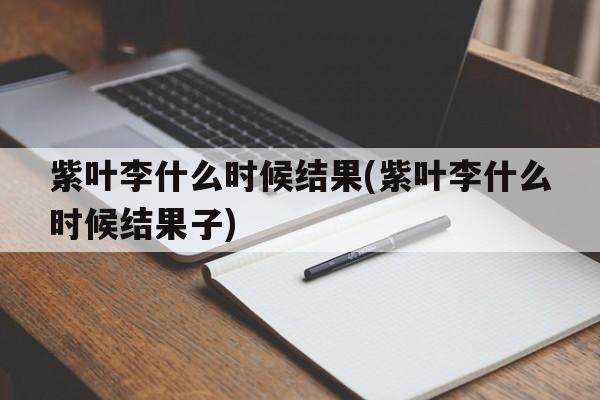 紫叶李什么时候结果(紫叶李什么时候结果子)