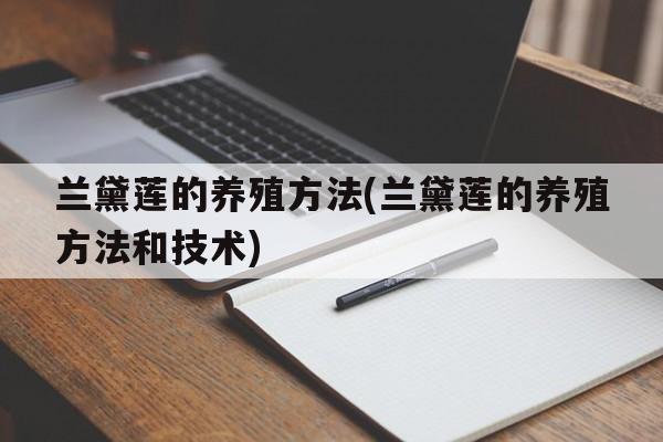 兰黛莲的养殖方法(兰黛莲的养殖方法和技术)