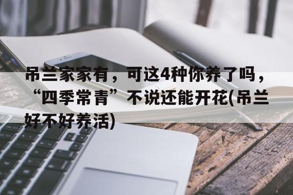 吊兰家家有，可这4种你养了吗，“四季常青”不说还能开花(吊兰好不好养活)