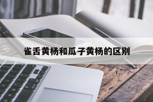 雀舌黄杨和瓜子黄杨的区别