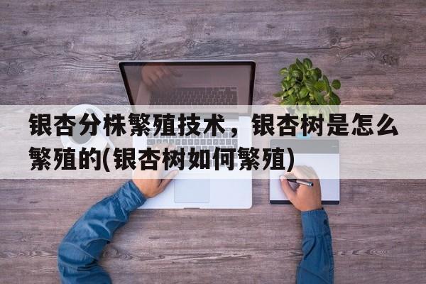 银杏分株繁殖技术，银杏树是怎么繁殖的(银杏树如何繁殖)